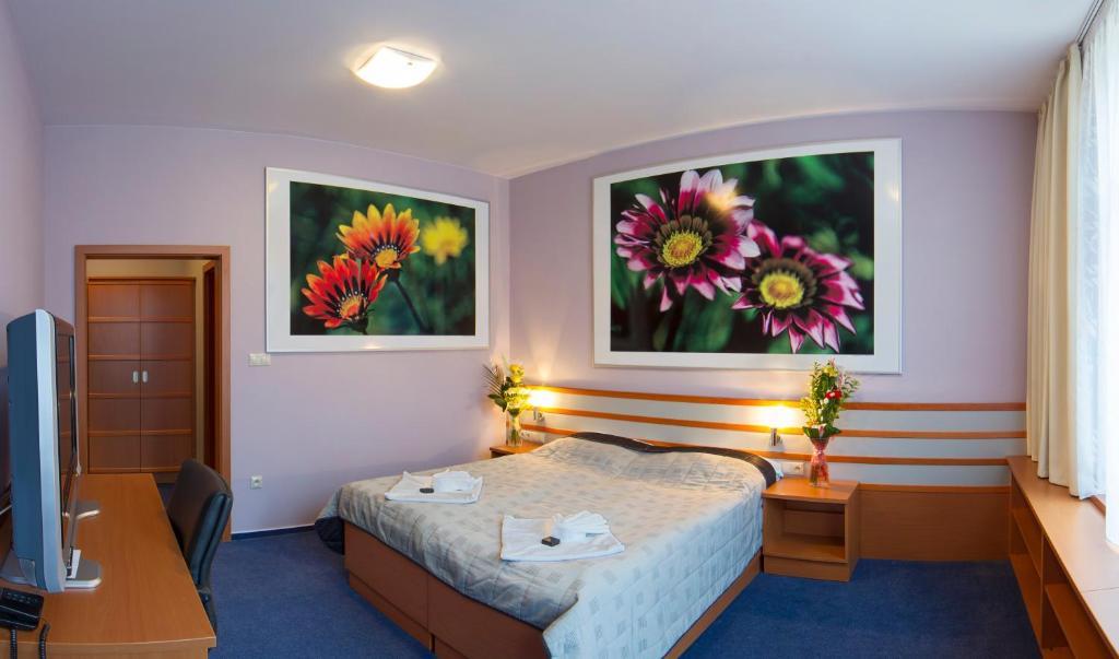 Hotel Air Holíč 部屋 写真
